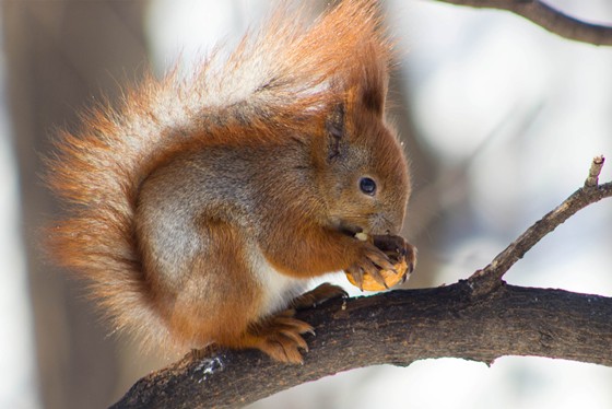 прогулка по набережной: пейзаж