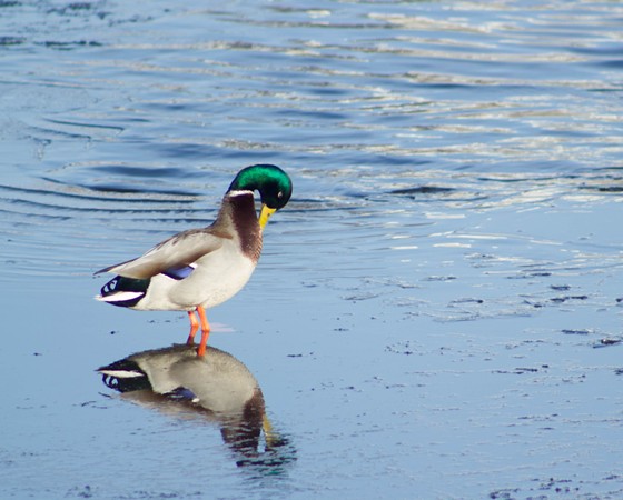 прогулка по набережной: пейзаж