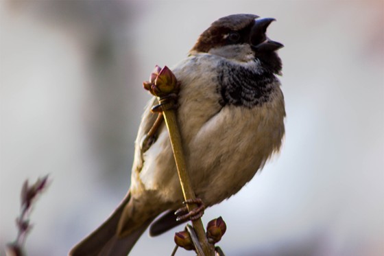 прогулка по набережной: пейзаж